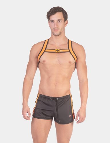 Short Byron Laboratory