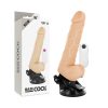 BASECOCK - REALISTA VIBRÁTOR TÁVIRÁNYÍTÓ TERMÉSZETES HERÉKKEL 19,5 CM -O-4 CM