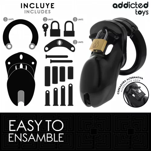 ADDICTED TOYS LOCKED - FORBIDDEN VAULT PENIS CAGE 10 CM