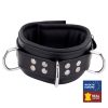 Padded leather collar with black D-rings