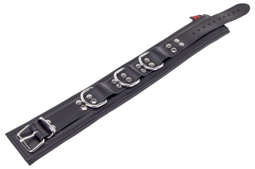 Padded leather collar with black D-rings