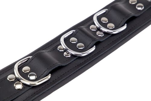 Padded leather collar with black D-rings