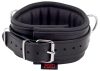 Padded leather collar with black D-rings