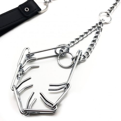 Leash for penis - premium collar with accessory