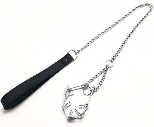 Leash for penis - premium collar with accessory