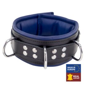 Padded Leather Collar - 3-D-Ring, Black-Blue