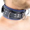 Padded Leather Collar - 3-D-Ring, Black-Blue
