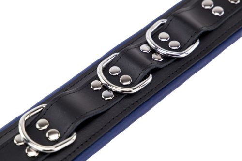Padded Leather Collar - 3-D-Ring, Black-Blue