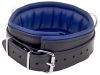 Padded Leather Collar - 3-D-Ring, Black-Blue