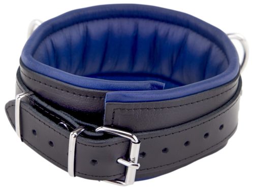 Padded Leather Collar - 3-D-Ring, Black-Blue