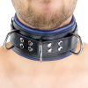 Padded Leather Collar - 3-D-Ring, Black-Blue