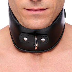   Premium leather collar – stylish hold and sensual experience