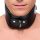 Premium leather collar – stylish hold and sensual experience