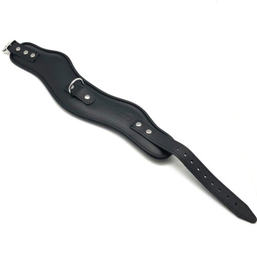 Premium leather collar – stylish hold and sensual experience