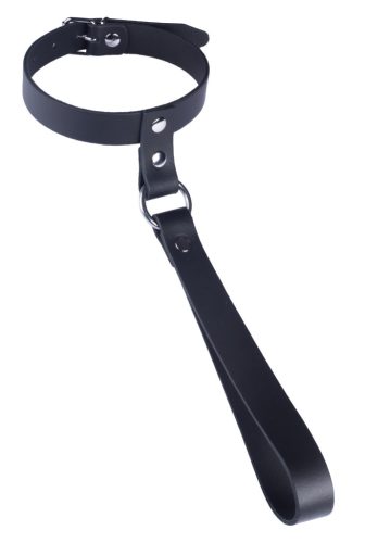 Leather collar with a short leash – a stylish accessory