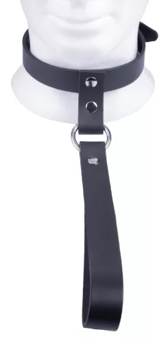 Leather collar with a short leash – a stylish accessory