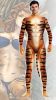 Tiger costume – sensual cosplay in premium style