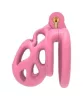 Bishera Rose Cage méret M 6,5x3,2 cm