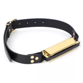 Accordion gold-plated joke gift