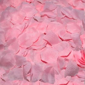   DIABLO PICANTE – premium, sensual rose petals in a pack of 100 pieces