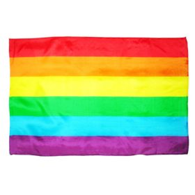 Pride - medium LGBT flag in the name of love