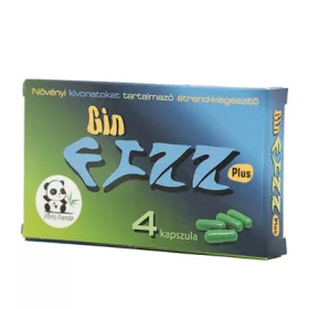 GIN FIZZ - 4 PCS