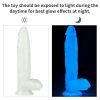10" Lumino Play Dildo_B15O50_3