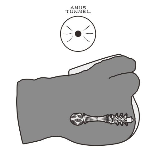 Streetgirl's #16 with Dildo