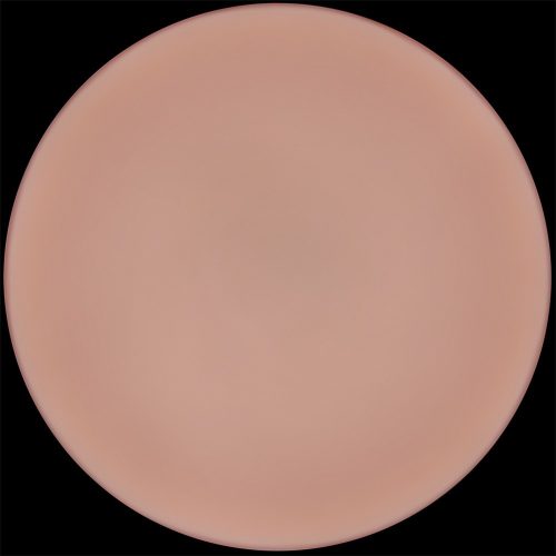 9'' Sliding Skin Pro II Dual Layer Silicone Dong