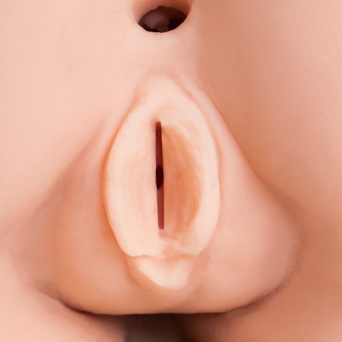 XXX To-Go with CONTROLLER III